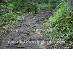 rocky path