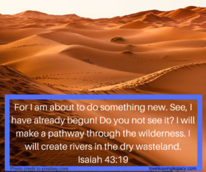 for-i-am-about-to-do-something-new-see-i-have-already-begun-do-you-not-see-it-i-will-make-a-pathway-through-the-wilderness-i-will-create-rivers-in-the-dry-wasteland