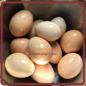 Kerrie's eggs
