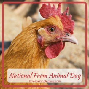 National Farm Animal Day