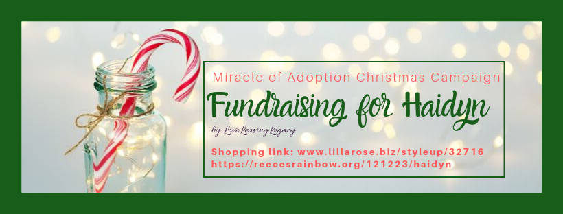 fundraising, adoption, Miracle of Adoption Christmas Campaign, Reece's Rainbow, Lilla Rose, LoveLeavingLegacy, hair accessories, fun with pasta fundraising, crafts, 5 day email treasure hunt